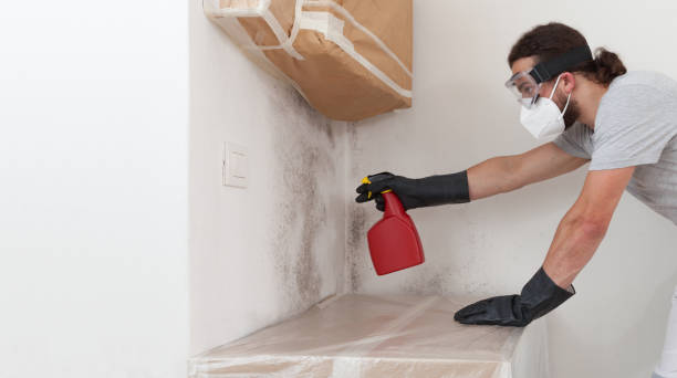 Professional Mold Inspection And Testing technician working in Flanders, NY